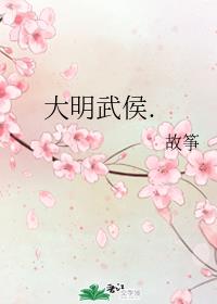 大明武侯小说笔趣阁最新章节更新内容