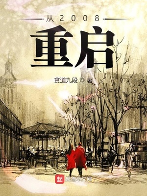 从2008重启 小说