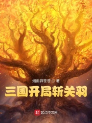 三国开局斩关羽 作者:烟雨莽苍苍.txt