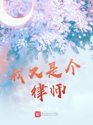 我是律师小说