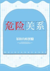 危险关系电视剧在线观看免费完整版