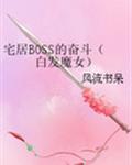 宅男boss的奋斗(白发魔女)