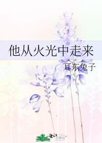 他从火光中走来雷大罡结局