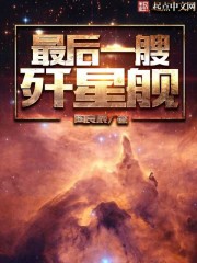 最后一艘歼星舰 小说