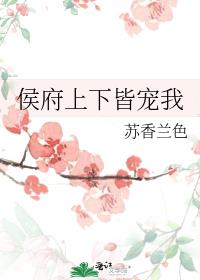 侯府下堂妻全文阅读