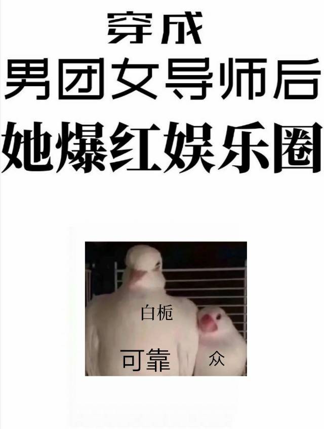 穿成男团导师的小说