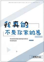 我真的不是你家的崽三夜檀免费阅读