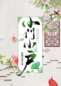 小说小门小户