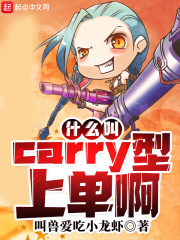 什么叫Carry型上单啊小说免费