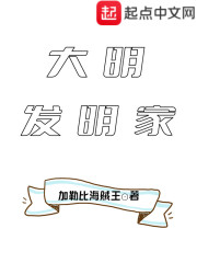 大明是什么公司