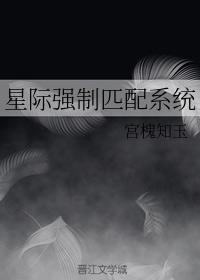 星际强制匹配系统TXT