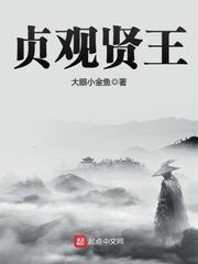 贞观贤王无弹窗免费阅读