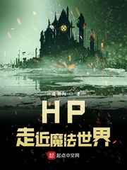 hp走向魔法世界